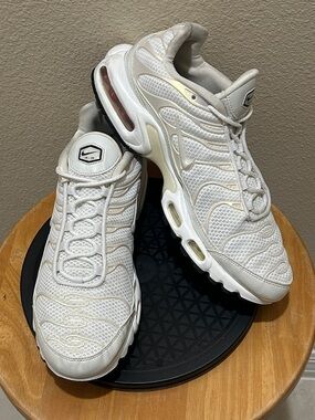 Nike Air Max Plus White Mesh 848891-100